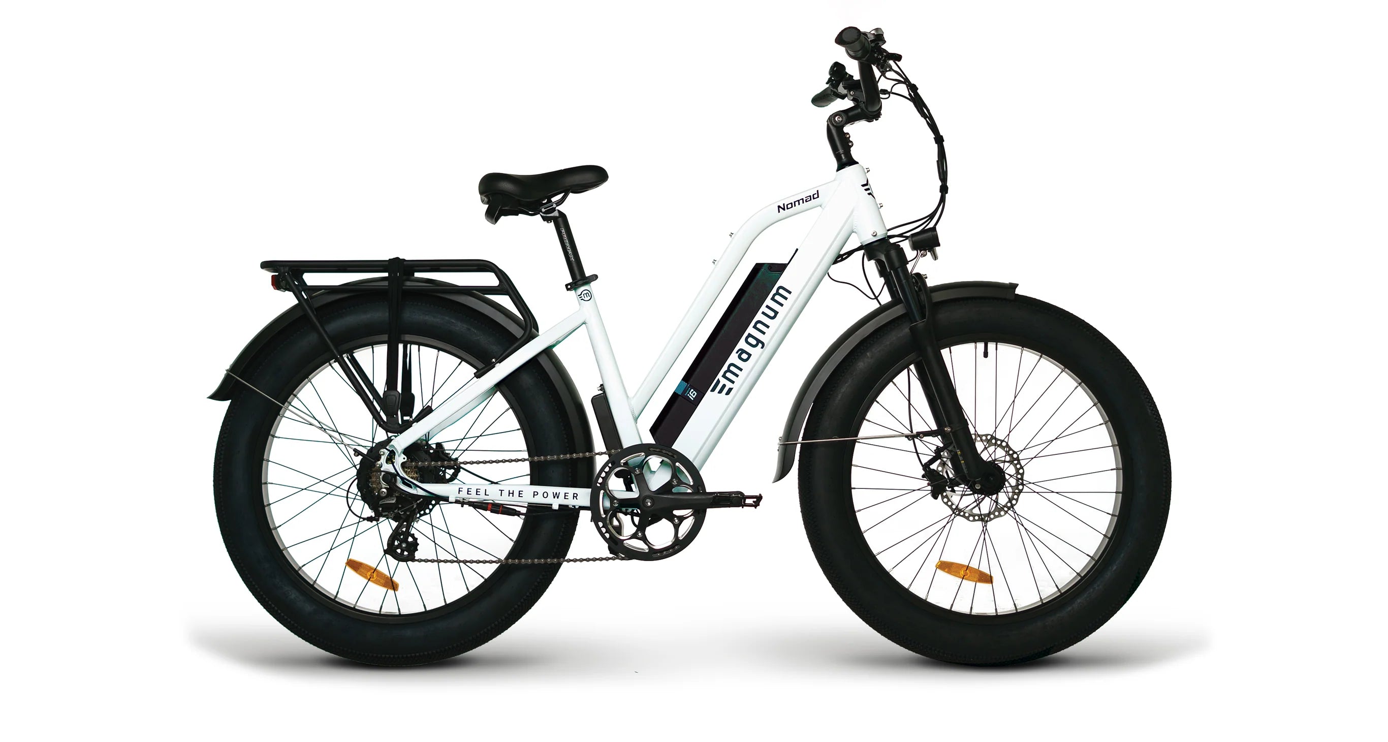 Exploring Palm Harbor, Florida E-Bikes