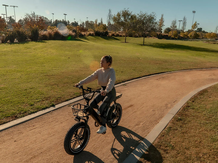 Himiway Escape Pro- Long Range Moped-Style Electric Bike