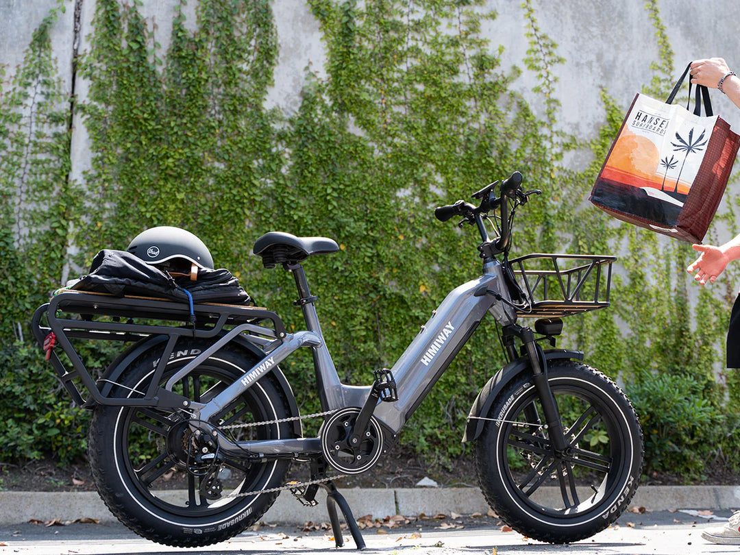 Himiway Big Dog- Electric Cargo Bike