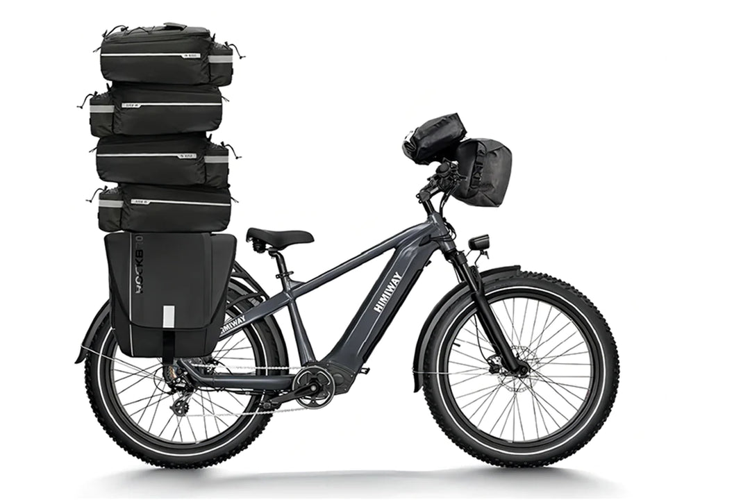 Premium All-terrain Electric Fat Bike Zebra-Black