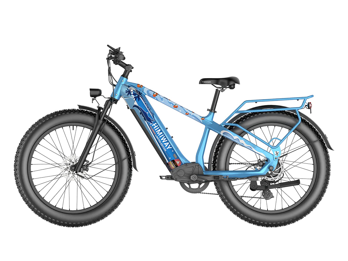 Bicycle Model R3013wmf Collection Page