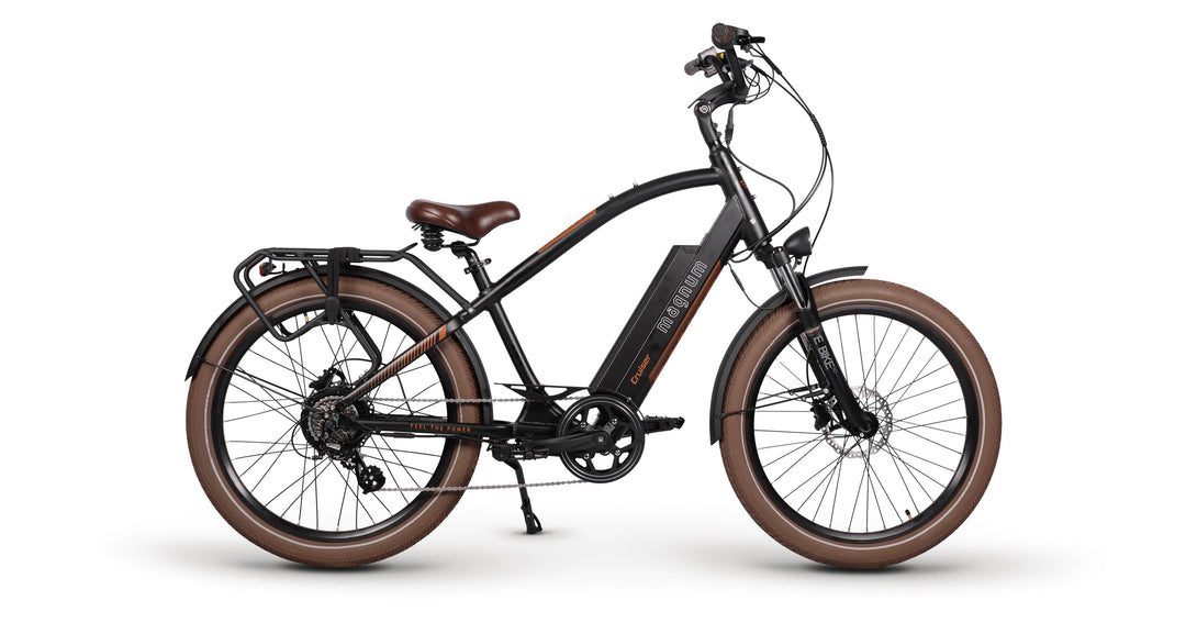 Pro rider e sales voyager electric mountain bike