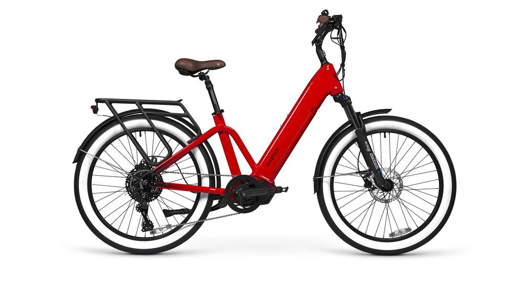 Magnum cruiser bike sale
